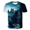 Women's T-Shirt New Casual Street Style Men's And Women's Tops 3d Cat Digital Printing T-shirt Fashion Sports Breathable Light Clothing