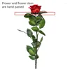 Dekoratif Çiçekler 4-5cm/28cm Doğal Korunmuş Gül Çiçeği Göğüs ile Gerçek Ebedi Ekran Düğün Partisi Ev Dekorasyon Anneler Günü
