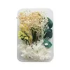 Decorative Flowers DIY Dried Pressed Mixed Natural Material Art Floral Decors Collection Gift Craft Home Decoration