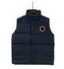 Canadian Usa hiver en plein air Popularité Hommes vers le bas Gilets de luxe bodywarmer mode vestes Femmes Gilet Designer Manteau Homme Doudoune Luxe Goose veste homme