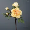 Decorative Flowers Artificial Peony Flower Dahlia Dried Living Room Decoration Fake Shooting Props