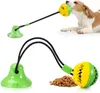 1st Dog Molar Bite Toy Multifunktion Pet Tand Rengöring Behandla Boll Dog tugga leksak med sugkoppvalp IQ Training Supplies