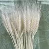 Fiori decorativi 50 pezzi Centrotavola secchi naturali per spighe di grano reale per matrimoni Regalo artificiale di alta qualità Fidanzata Pampas