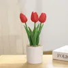 Fiori decorativi 25 cm Fiore artificiale PU Touch Tulipano Creativo Decorazione da giardino per interni Pianta bonsai Decorazione per cerimonia di nozze