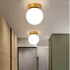 Plafonniers nordique créatif LED lampe de luxe Simple salon métal moderne minimaliste couloir éclairage chambre luminaires