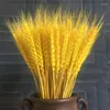 Fleurs décoratives 50pcs Real Wheat Ear Gift naturel séché pour petite amie Décoration de Noël Idées de mariage Bouquet Bouquet