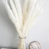 Декоративные цветы натуральные фрагмиты в стиле стиль пампас трава сушено