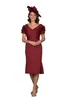 Burgundy Mother of the Bride/Groom Dress 2024 Jersey Rose Knee-Length Fit-n-Flare Formal Event Special Occasion Cocktail Party Wear Gown Wedding Guest Bridesmaid