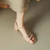 Sandales Grande Taille Oversize Gros Orteils Carrés Talon Épais Chaussures À Talons Hauts Dame Banquets Simples Et Élégants