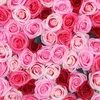 Dekorativa blommor 50 datorer falska konstgjorda siden rose huvuden blomma knoppar diy bukett hem bröllop hantverk dekor leveranser 8 wxv försäljning