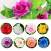 Dried Flowers 240CM Many Silk Roses Ivy Vine and Green Leaf Wedding Home Decoration DIY Fake Hanging Garland Artificial Flower