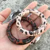 Charm Armband Fishsheep Vintage Leopard Print Acrylic Stapble Bangles for Women Harts Stretchy Armband 2023 Fashion Jewelry Gift