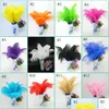 Other Festive Party Supplies 3035Cm High Quality Dyed Large Ostrich Feather Hair Bleached Regar Color Stock Eea515 Drop Delivery H Dhsoq