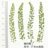 装飾的な花12ピース天然乾燥したプレスドライフラフDIYブックマーク用の手作りカード製造装飾アクセサリー7-9cm