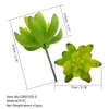 Decoratieve Bloemen Gesimuleerde Plant Portulaca Molokiniensis Kunstmatige Succulenten Bonsai Willekeurige Verscheidenheid Zonder Bloempot