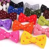 Bow Ties POTS TIE Fashion Tricot pour les hommes Femmes Not des cravates de tricot adulte