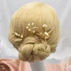 装飾花パール付きエレガントなドライフラワーヘアピン