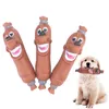 Divertidos juguetes para masticar salchichas para mascotas, juguete chirriante, suministros de limpieza de dientes para cachorros, resistente a morder, suministros interactivos para mascotas para gatos y perros