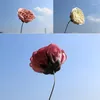 Dekorativa blommor 8,5 cm/5st Artificial Soap Austin Roses Flower Head Simulation Scented Eternal Rose för DIY Wedding Box Decoration