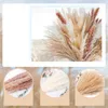 Decoratieve Bloemen 42cm Fluffy Grote Pampas Gras Gedroogde Bloem Natuurlijke Riet Bruiloft Winkel Decoratie Ornament Boho Vintage Home Decor