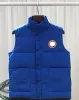 Canadese Usa Inverno Outdoor Popolarità Uomo Piumini di lusso Scaldacorpo Giacche di moda Gilet da donna Designer Cappotto Maschile Doudoune Luxe Goose Veste Homme MOVX