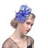 Kopfschmuck Hochzeit Braut Fascinator Hut Blume Feder Teeparty Frauen Mädchen Haar