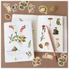 Geschenkpapier 40 Stück 20 Designs Meerespflanze Tier Washi-Papieraufkleber Klebrige ästhetische dekorative Scrapbook-DIY-Kind-Briefpapierlieferant für Kinder
