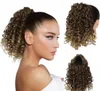 10-Inch Drawstring Ponytail for Women - Variety of Curly Styles - Easy to Wear - Perfect for All Occasions - High Quality and Affordable