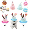 Pet köpek peluş doğum günü oyuncak köpek yavrusu kek gıcırtılı oyuncaklar oynuyor interaktif ısırık dirençli oyuncak doldurulmuş doğum şapka evcil hayvan malzemeleri