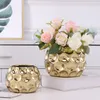 Vazen Scandinavische Stijl hoogwaardige Gouden Phalaenopsis Bloempot Geld Gras Vlezige Bloempot Woninginrichting Bloemenvaas 230615