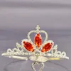 Grampos de cabelo cristal vermelho nupcial princesa princesa strass tiara festa de casamento acessórios para meninas