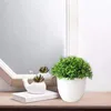 Wazony 1PC Małe drzewo rośliny doniczkowe Fałszywe dekoracja domu El Garden Bonsai sztuczny