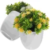 Fiori decorativi 2 pezzi Bonsai Vasi di plastica finti artificiali Piccola schiuma Piante verdi finte Vegetazione finta