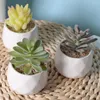 Decorative Flowers Artificial Mini Succulent Simulation Bonsai Fake Flower With Pot Landscape Crafts For Living Room Ornaments Supply