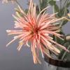 ドライフラワーシミュレーション人工花ウールロッド爪chrysanthemumホームリビングルームダイニングテーブル装飾偽の植物