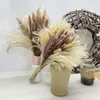 装飾的な花自然の一次色と白い小さなパンパスグラスホームウェディングルームのための高品質のドライフラワーカラフルなブーケ