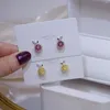 Kolczyki stadnonośne delikatne biżuterię Cubic Cydron CZ Kryształowe owoce dla kobiet 14 -karatowe złoto Plaped Małe małe