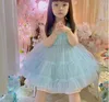 Sukienki dla dziewczyn detaliczne dziewczyny letnie butik niebieska siatka tutu sukienka księżniczka dzieci słodkie sukienki wakacje 1-6 t 230615