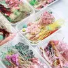 Decoratieve Bloemen Willekeurig 1 doos Meer Dan 8 Stijl Mix Bloem Geperst Gedroogde Droge Bladeren Planten Voor Nail Art Decors Sieraden Maken Diy