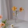 Вазы стеклянные вазы в горшках оформление скандинавского декоративного гидропонного террариума контейнер цветочный стол 230615