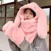 Beretti Hat Winter Women Orecchie del cane Harajuku Costume Emo Pastel Astetico Bomber caldo Accessori KPOP STREETTORI