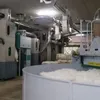 Produktion och försäljning av rent bomullsgarn för luftspinning