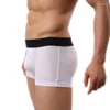 Caleçon Nylon maille sous-vêtements hommes hommes Lingerie de base Sexy Boxer Shorts Modal Boxershorts Hombre Cuecas solide