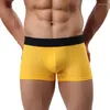 Caleçon Nylon maille sous-vêtements hommes hommes Lingerie de base Sexy Boxer Shorts Modal Boxershorts Hombre Cuecas solide