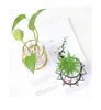 Vases Terrarium rétro fer ligne Vase hydroponique plante fleur décoration de la maison support en métal Styles nordiques ornement 230615