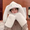 Beretti Hat Winter Women Orecchie del cane Harajuku Costume Emo Pastel Astetico Bomber caldo Accessori KPOP STREETTORI