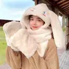 Beretti Hat Winter Women Orecchie del cane Harajuku Costume Emo Pastel Astetico Bomber caldo Accessori KPOP STREETTORI