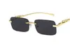 luxury designer sunglasses Eyeglasses frames temples with panther heads Metal Frameless Full men woman eyewear accessories Chroma Unisex