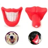 1Pcs Giocattoli per cani di piccola taglia per cani di piccola taglia Gatti Bocca grande Divertenti giocattoli per animali domestici Giocattoli creativi per cuccioli da masticare Giocattoli di plastica Forniture per cani