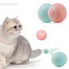 yavru köpek oyuncakları hareketli top